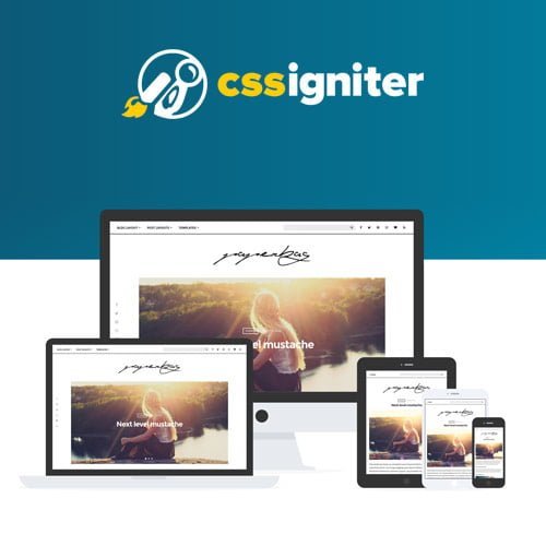 CSS-Igniter-Paperbag-WordPress-Theme.jpg
